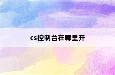 cs控制台在哪里开