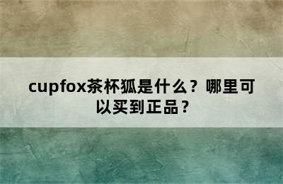 cupfox茶杯狐是什么？哪里可以买到正品？