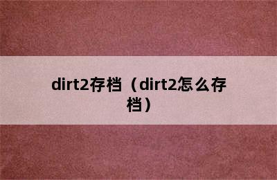 dirt2存档（dirt2怎么存档）