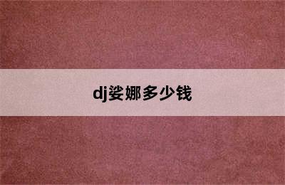 dj娑娜多少钱