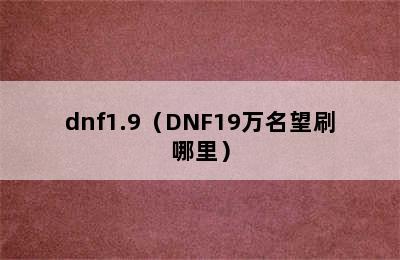 dnf1.9（DNF19万名望刷哪里）