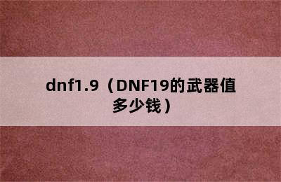 dnf1.9（DNF19的武器值多少钱）