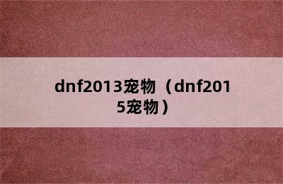 dnf2013宠物（dnf2015宠物）