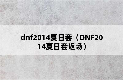 dnf2014夏日套（DNF2014夏日套返场）