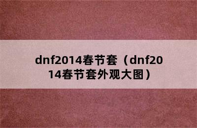 dnf2014春节套（dnf2014春节套外观大图）