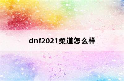 dnf2021柔道怎么样