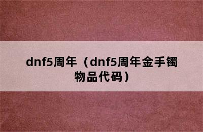 dnf5周年（dnf5周年金手镯物品代码）