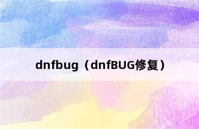 dnfbug（dnfBUG修复）