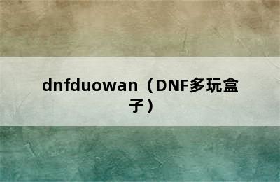dnfduowan（DNF多玩盒子）