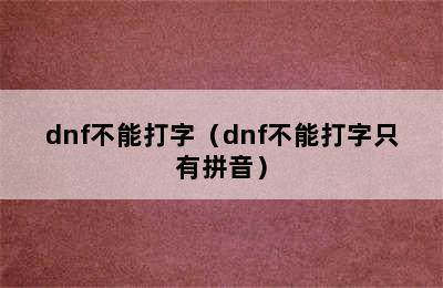 dnf不能打字（dnf不能打字只有拼音）