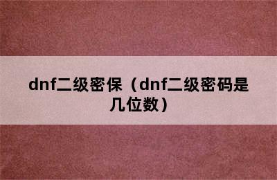 dnf二级密保（dnf二级密码是几位数）