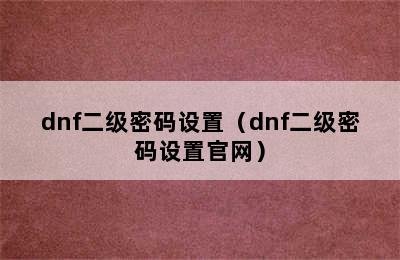 dnf二级密码设置（dnf二级密码设置官网）