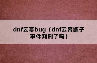 dnf云幂bug（dnf云幂罐子事件判刑了吗）