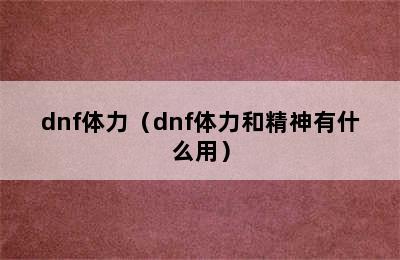 dnf体力（dnf体力和精神有什么用）