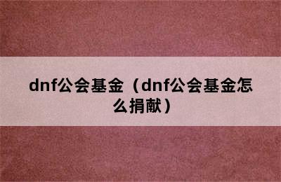 dnf公会基金（dnf公会基金怎么捐献）