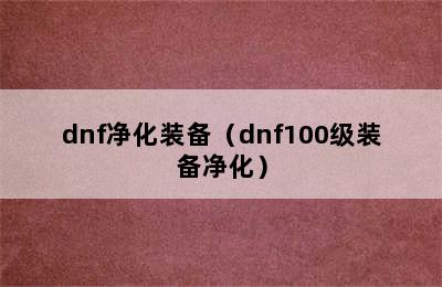 dnf净化装备（dnf100级装备净化）