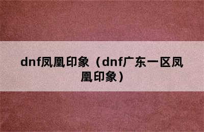 dnf凤凰印象（dnf广东一区凤凰印象）