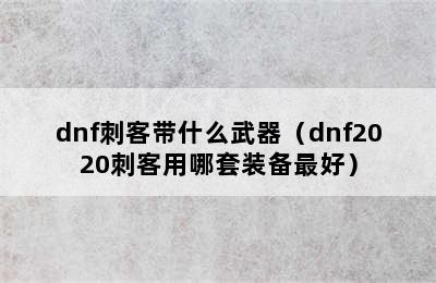 dnf刺客带什么武器（dnf2020刺客用哪套装备最好）