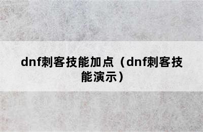 dnf刺客技能加点（dnf刺客技能演示）