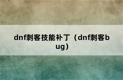 dnf刺客技能补丁（dnf刺客bug）