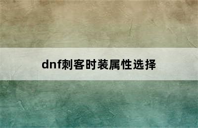 dnf刺客时装属性选择