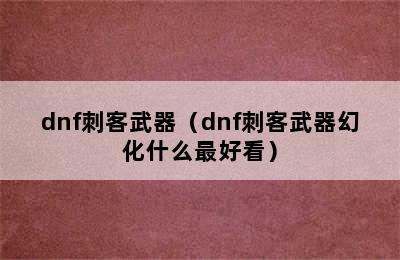 dnf刺客武器（dnf刺客武器幻化什么最好看）