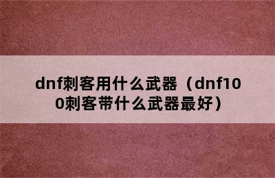 dnf刺客用什么武器（dnf100刺客带什么武器最好）