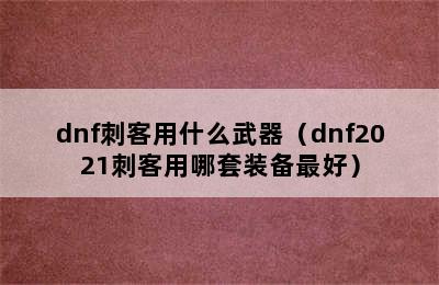 dnf刺客用什么武器（dnf2021刺客用哪套装备最好）