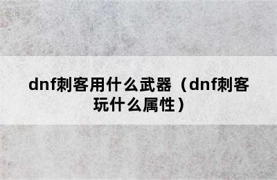 dnf刺客用什么武器（dnf刺客玩什么属性）