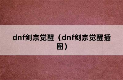 dnf剑宗觉醒（dnf剑宗觉醒插图）