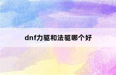 dnf力驱和法驱哪个好