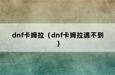 dnf卡姆拉（dnf卡姆拉遇不到）