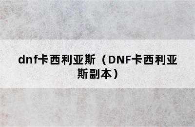 dnf卡西利亚斯（DNF卡西利亚斯副本）