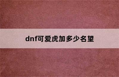 dnf可爱虎加多少名望