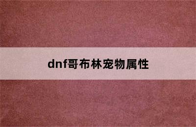 dnf哥布林宠物属性