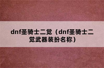 dnf圣骑士二觉（dnf圣骑士二觉武器装扮名称）