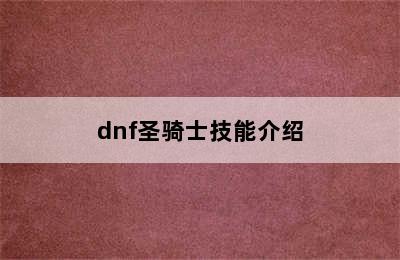 dnf圣骑士技能介绍