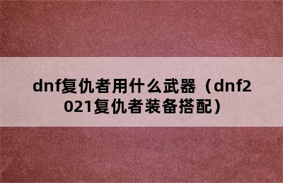 dnf复仇者用什么武器（dnf2021复仇者装备搭配）