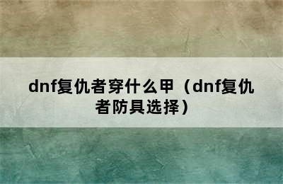 dnf复仇者穿什么甲（dnf复仇者防具选择）