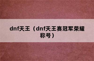 dnf天王（dnf天王赛冠军荣耀称号）