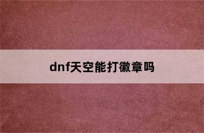 dnf天空能打徽章吗