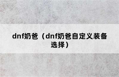 dnf奶爸（dnf奶爸自定义装备选择）