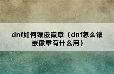 dnf如何镶嵌徽章（dnf怎么镶嵌徽章有什么用）