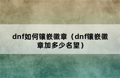 dnf如何镶嵌徽章（dnf镶嵌徽章加多少名望）