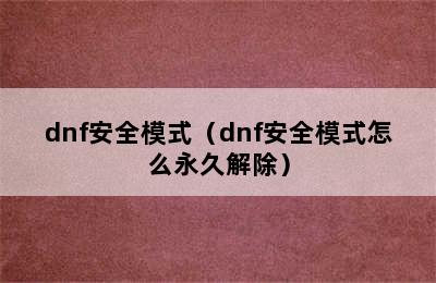 dnf安全模式（dnf安全模式怎么永久解除）