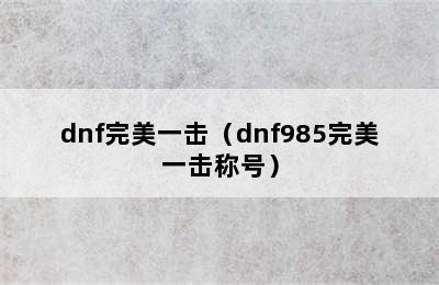 dnf完美一击（dnf985完美一击称号）