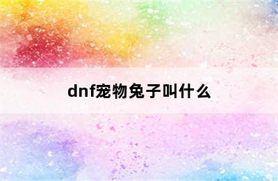 dnf宠物兔子叫什么