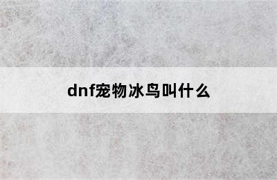 dnf宠物冰鸟叫什么