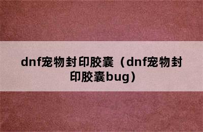 dnf宠物封印胶囊（dnf宠物封印胶囊bug）