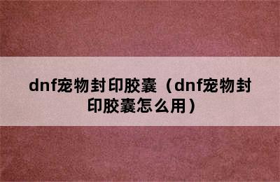 dnf宠物封印胶囊（dnf宠物封印胶囊怎么用）